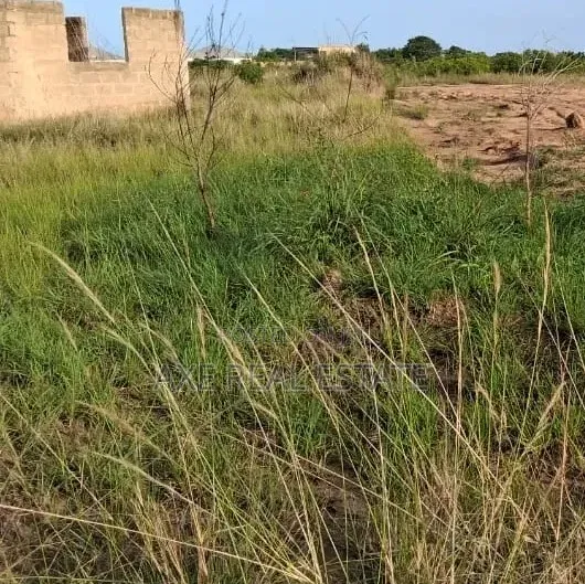 Major Deals on Registered Plots at Prampram Beach Lane in Prampram