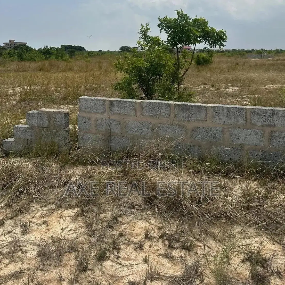 Fast Growing Lands at Prampram in Prampram