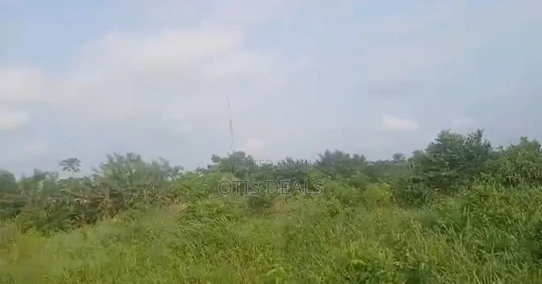 Grace Land Farms in Gomoa East