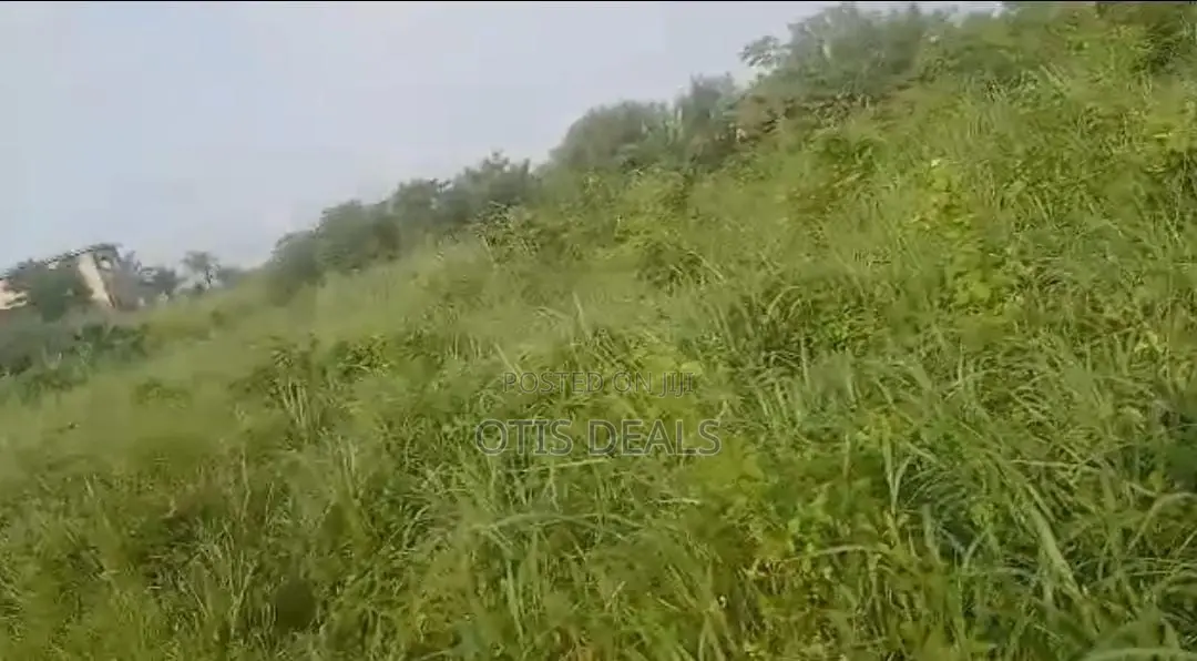 Grace Land Farms in Gomoa East
