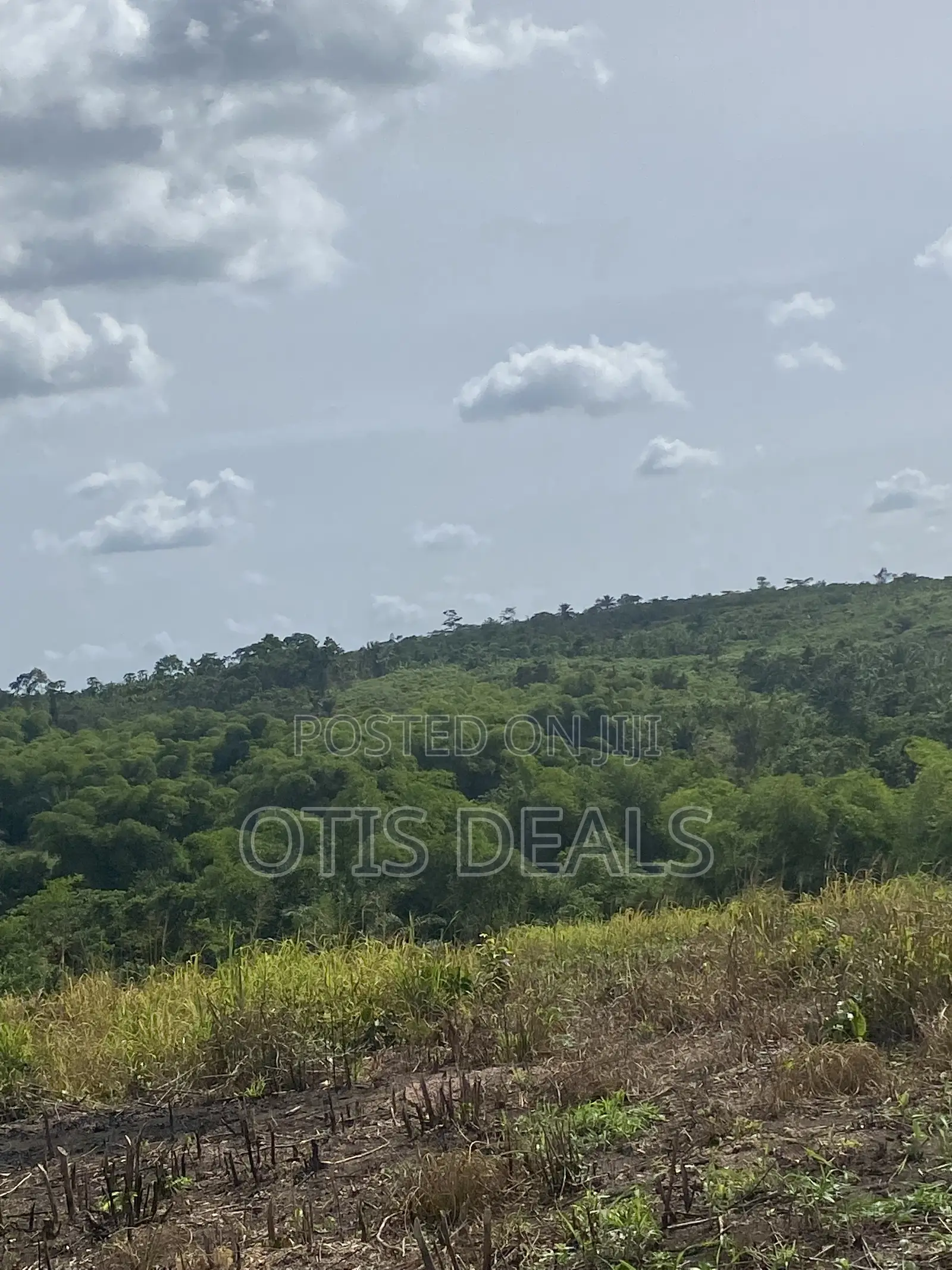 Grace Land Farms in Gomoa East