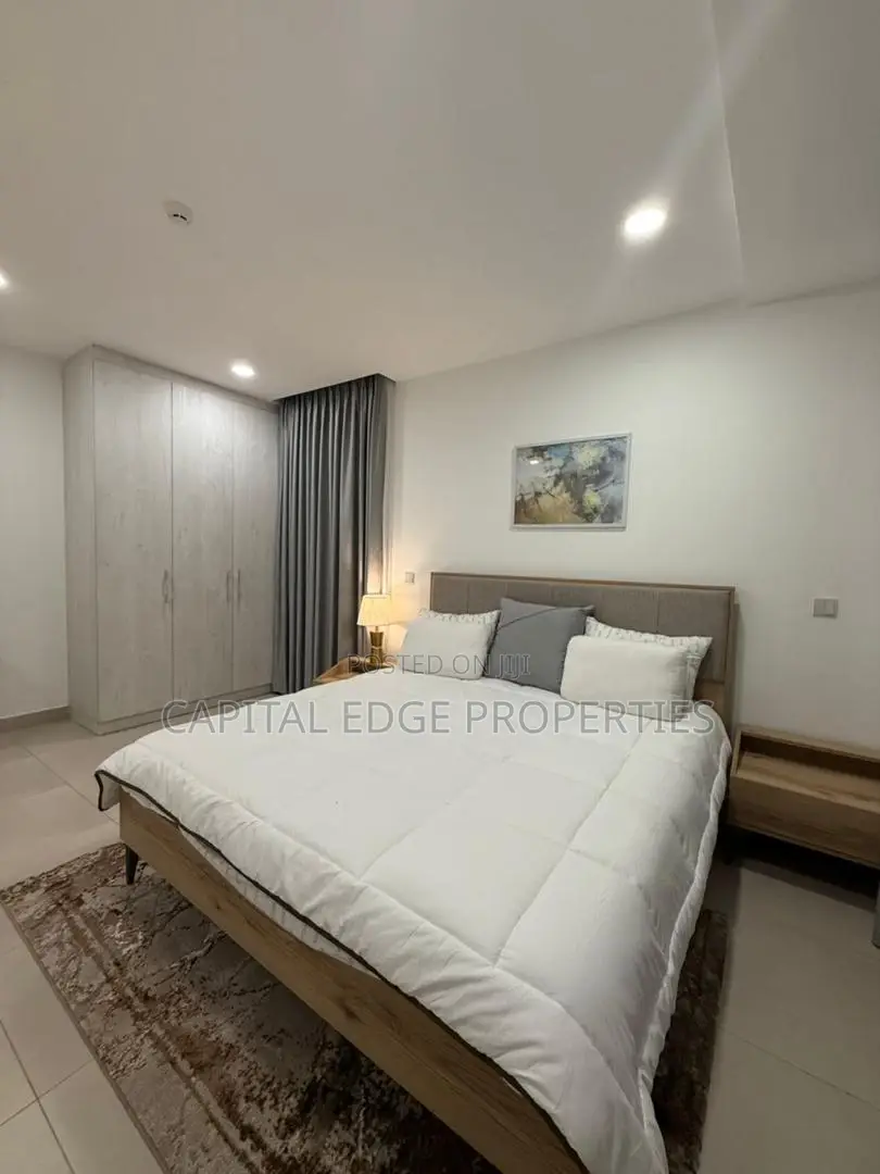 Furnished 1bdrm Apartment in Cantonments for rent in Cantonments