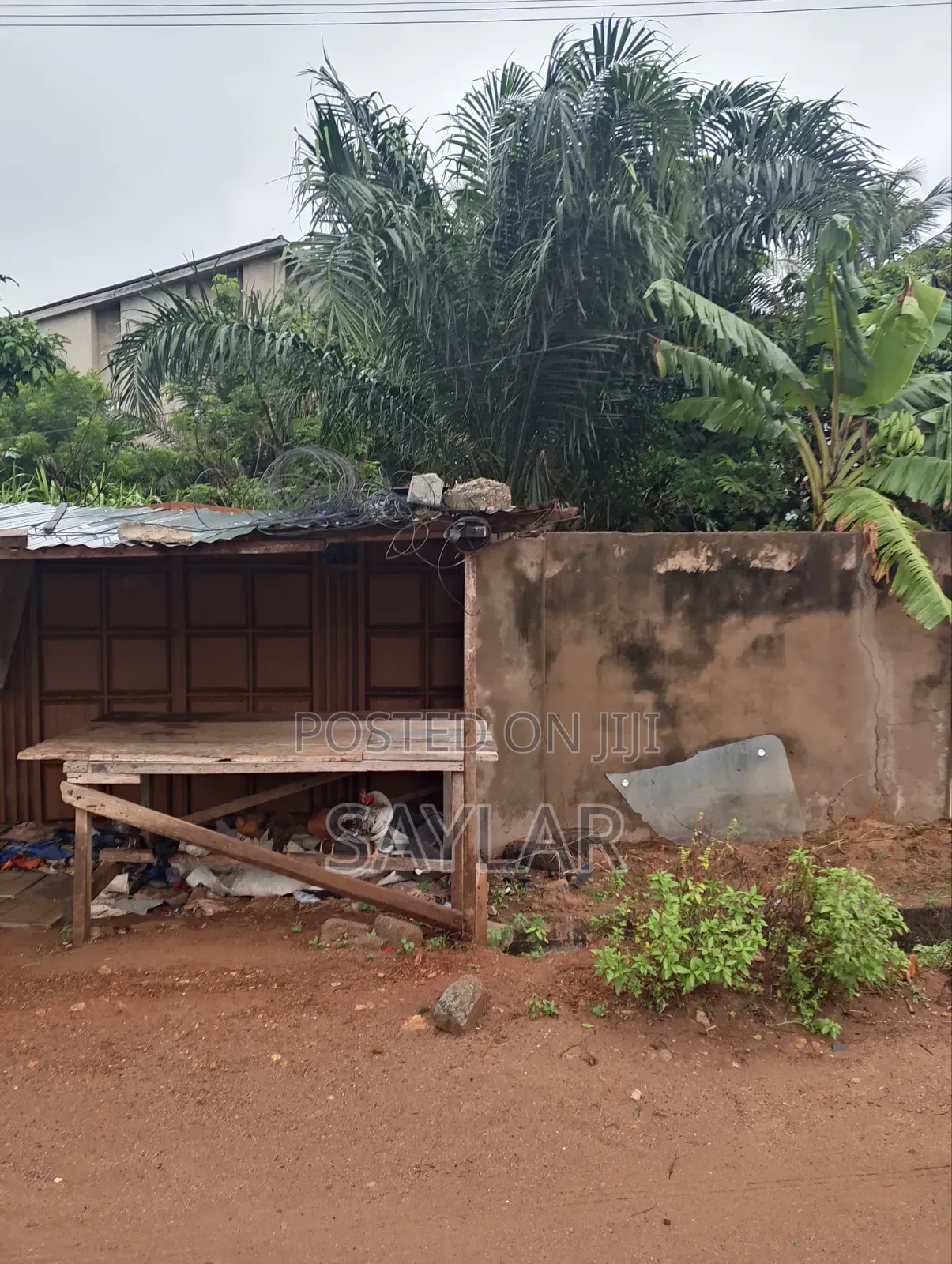 Full Plot for Sale Vivian Farm, TDC DOCUMENTS in Sakumono