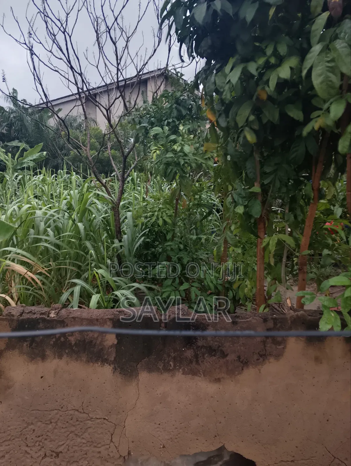 Full Plot for Sale Vivian Farm, TDC DOCUMENTS in Sakumono