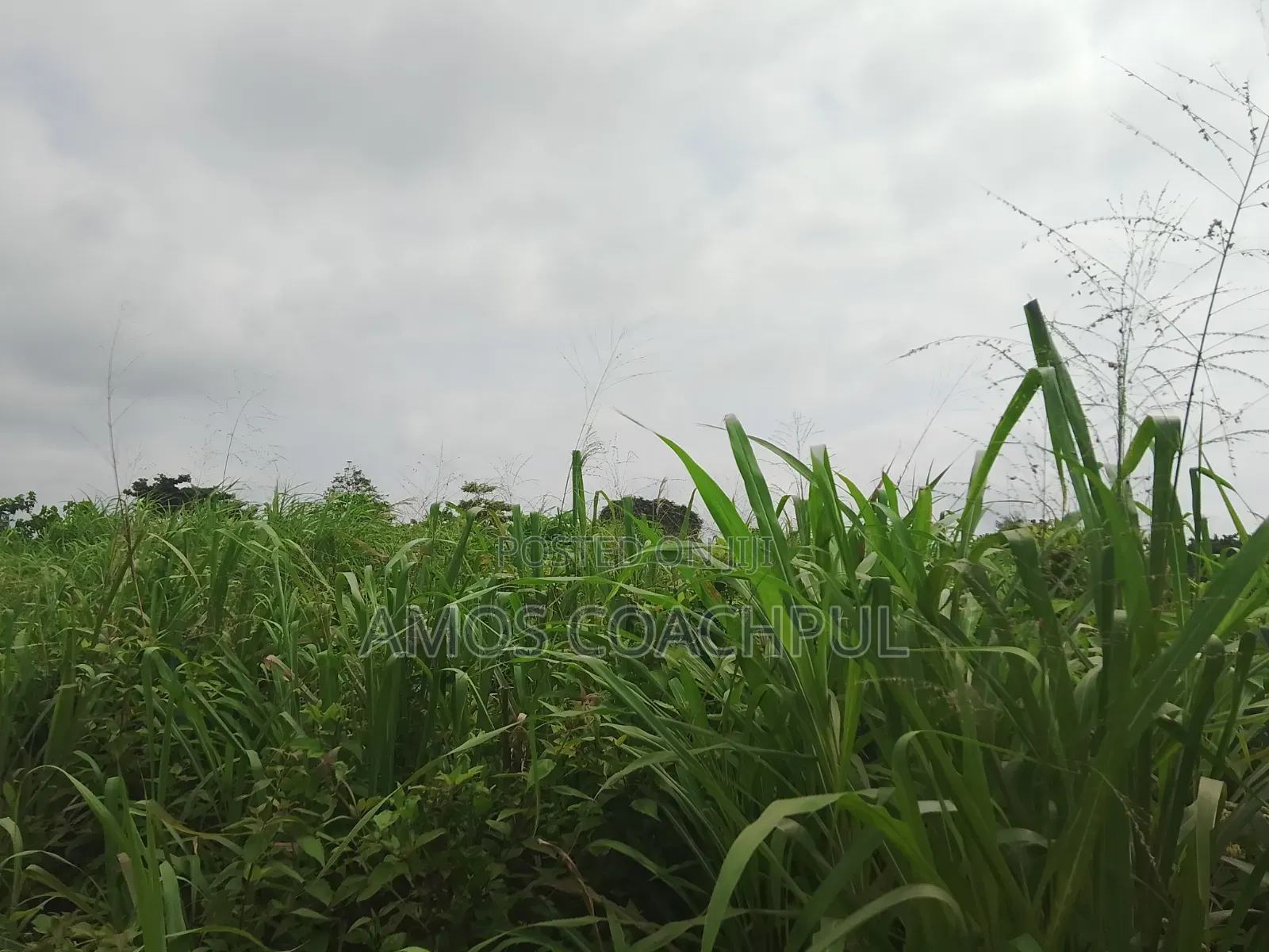 Roadside Plot at SYN YH Temakwataa in Sunyani Municipal