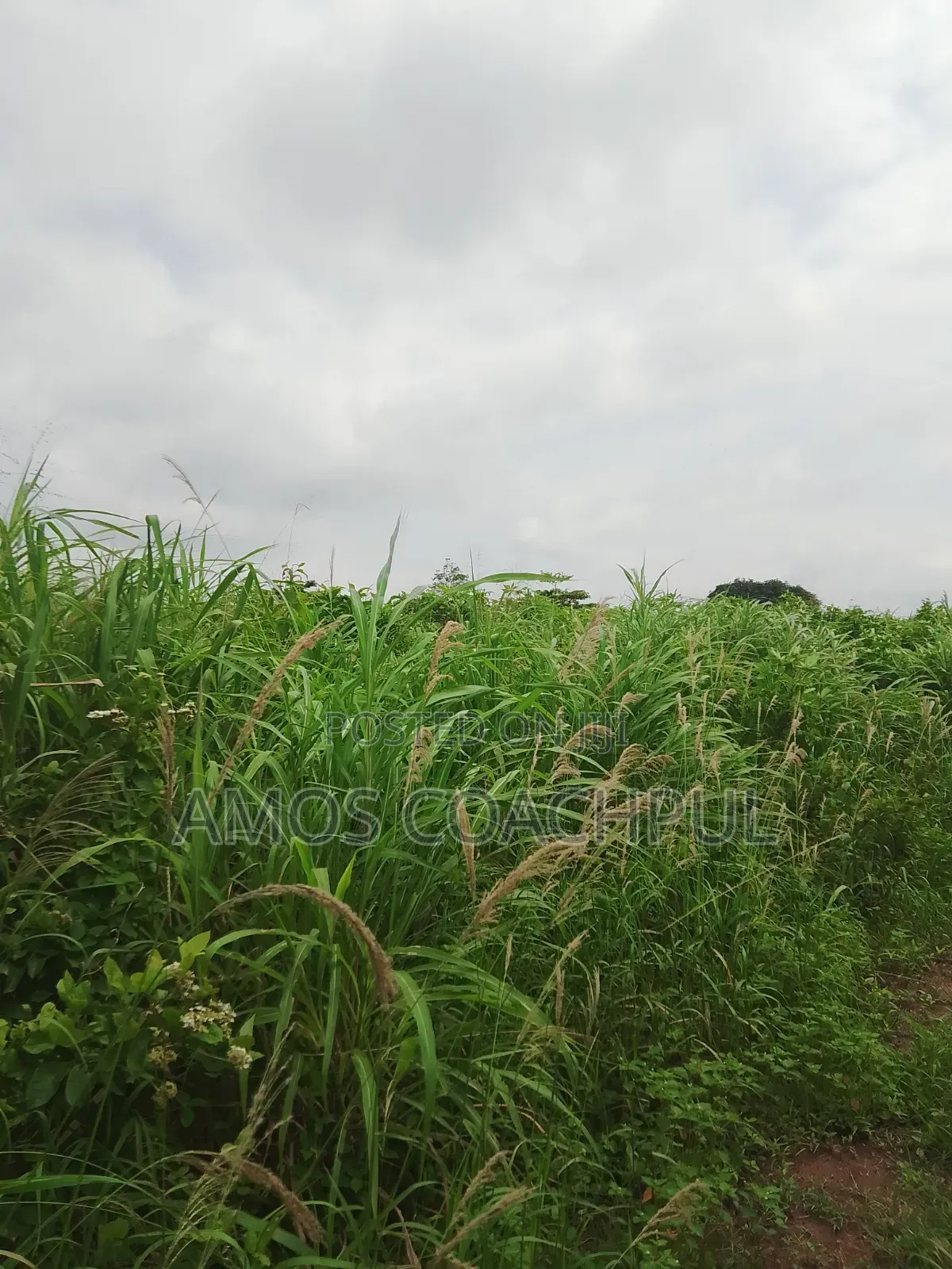 Roadside Plot at SYN YH Temakwataa in Sunyani Municipal