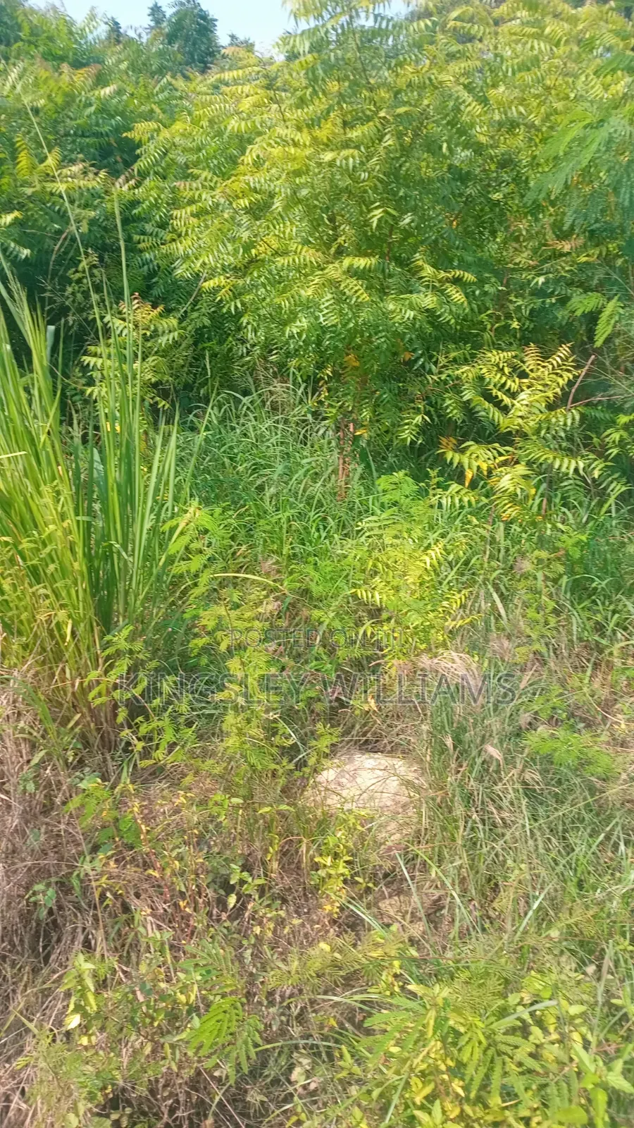 Titled Land for Sale at Spintex 18 Junction and Dorwulu for Sale . in Nyaho Medical Centre