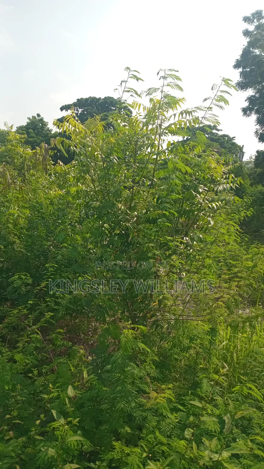 Titled Land for Sale at Spintex 18 Junction and Dorwulu for Sale . in Nyaho Medical Centre