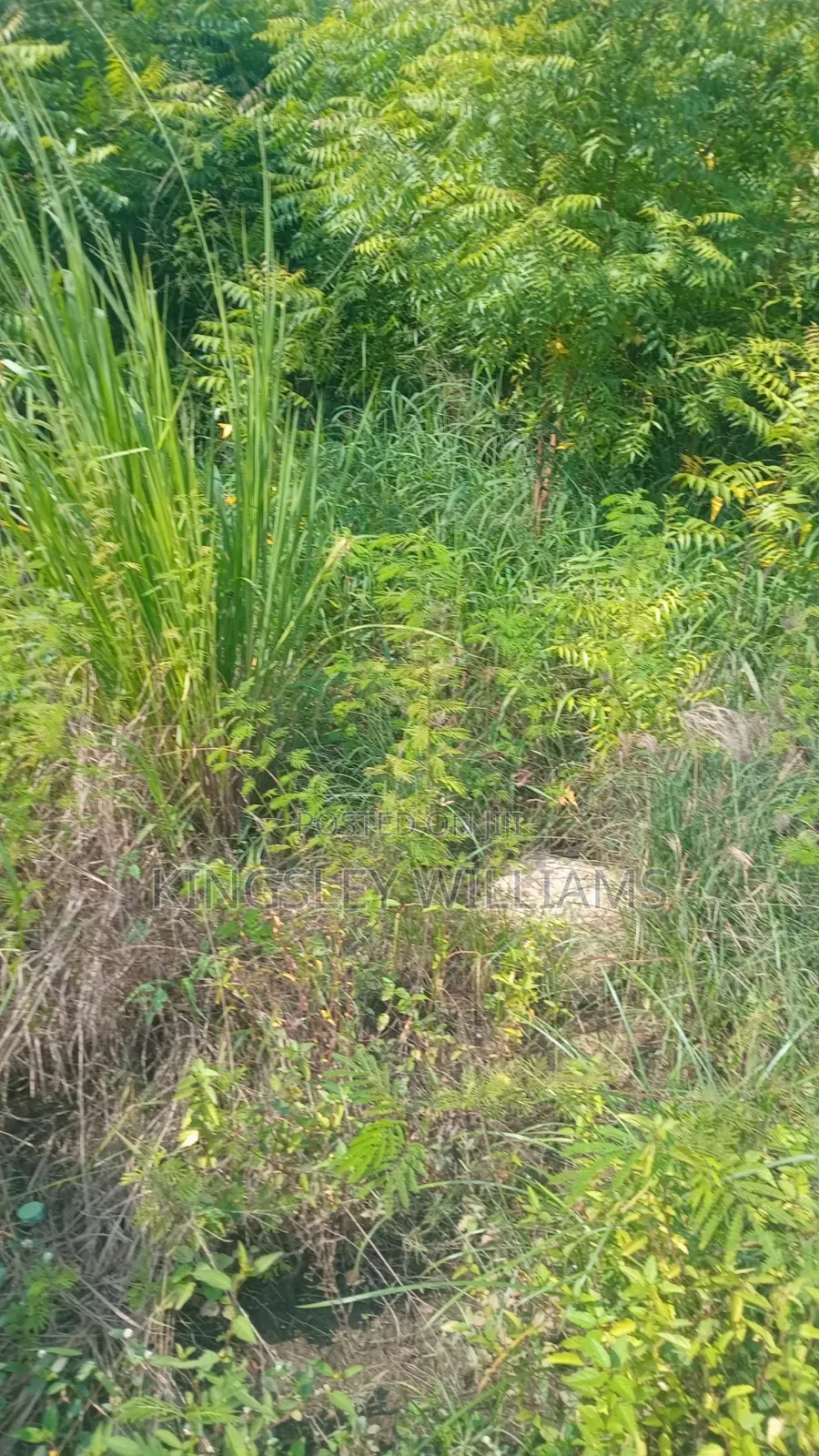 Titled Land for Sale at Spintex 18 Junction and Dorwulu for Sale . in Nyaho Medical Centre