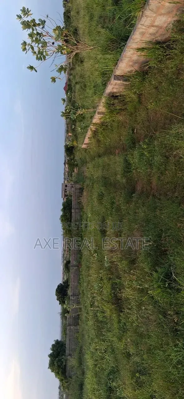 New Ningo Prampram Finest Half Plots in Prampram