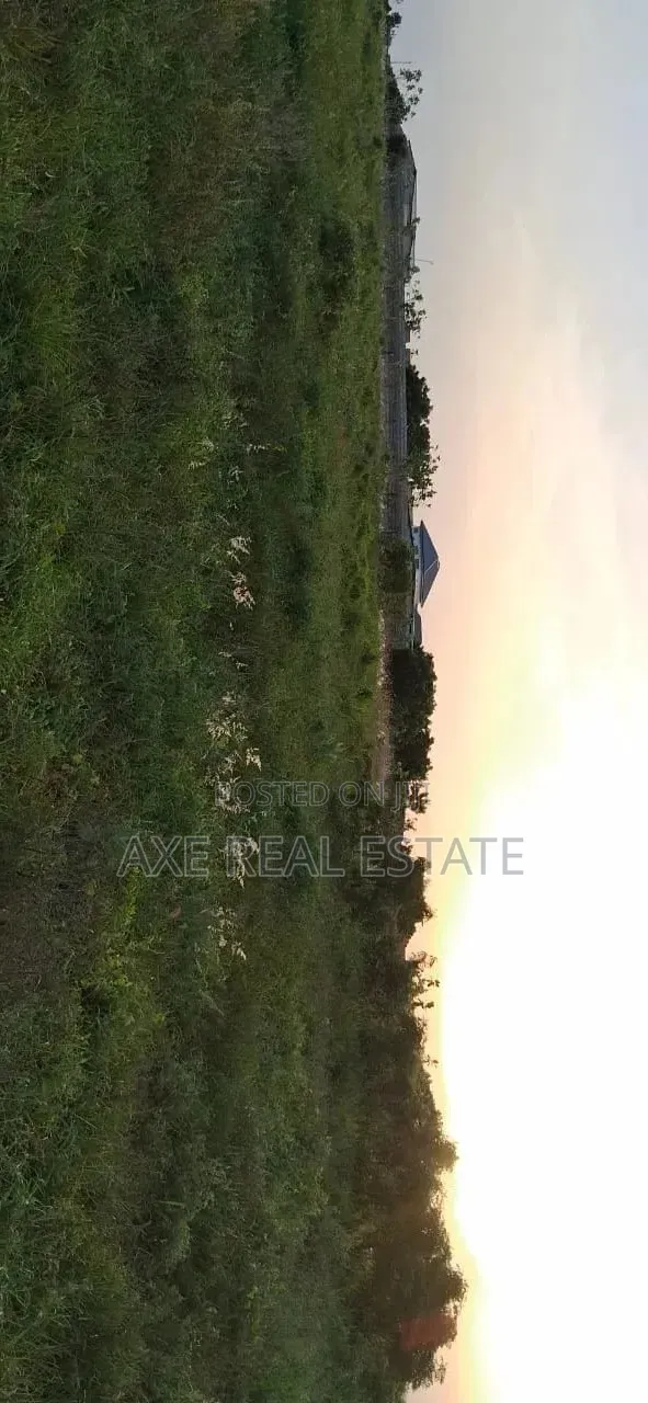 Buy Enjoy Half Plots Incentives at Prampram Beach Road in Prampram