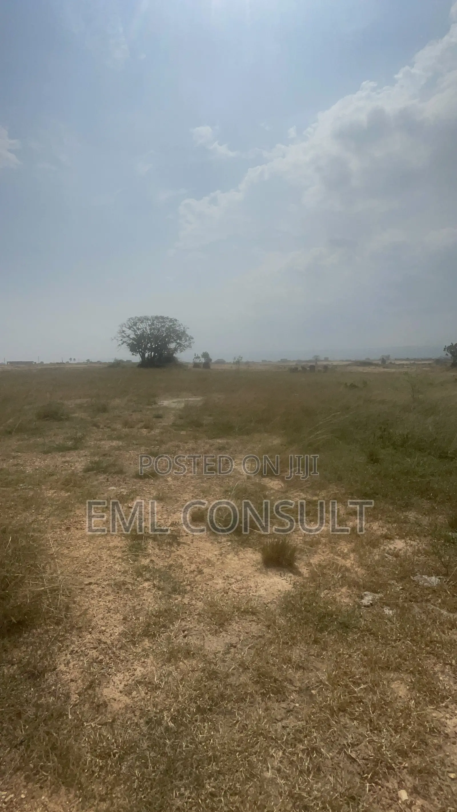 Land for Sale at Afienya Mobole. 2 Plots Available in Afienya