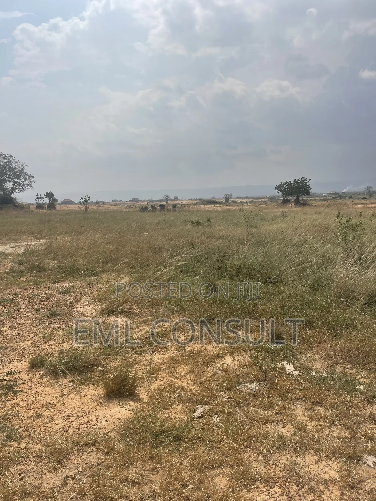 Land for Sale at Afienya Mobole. 2 Plots Available in Afienya