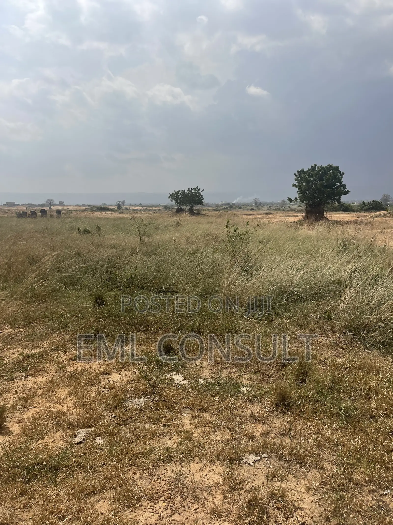 Land for Sale at Afienya Mobole. 2 Plots Available in Afienya