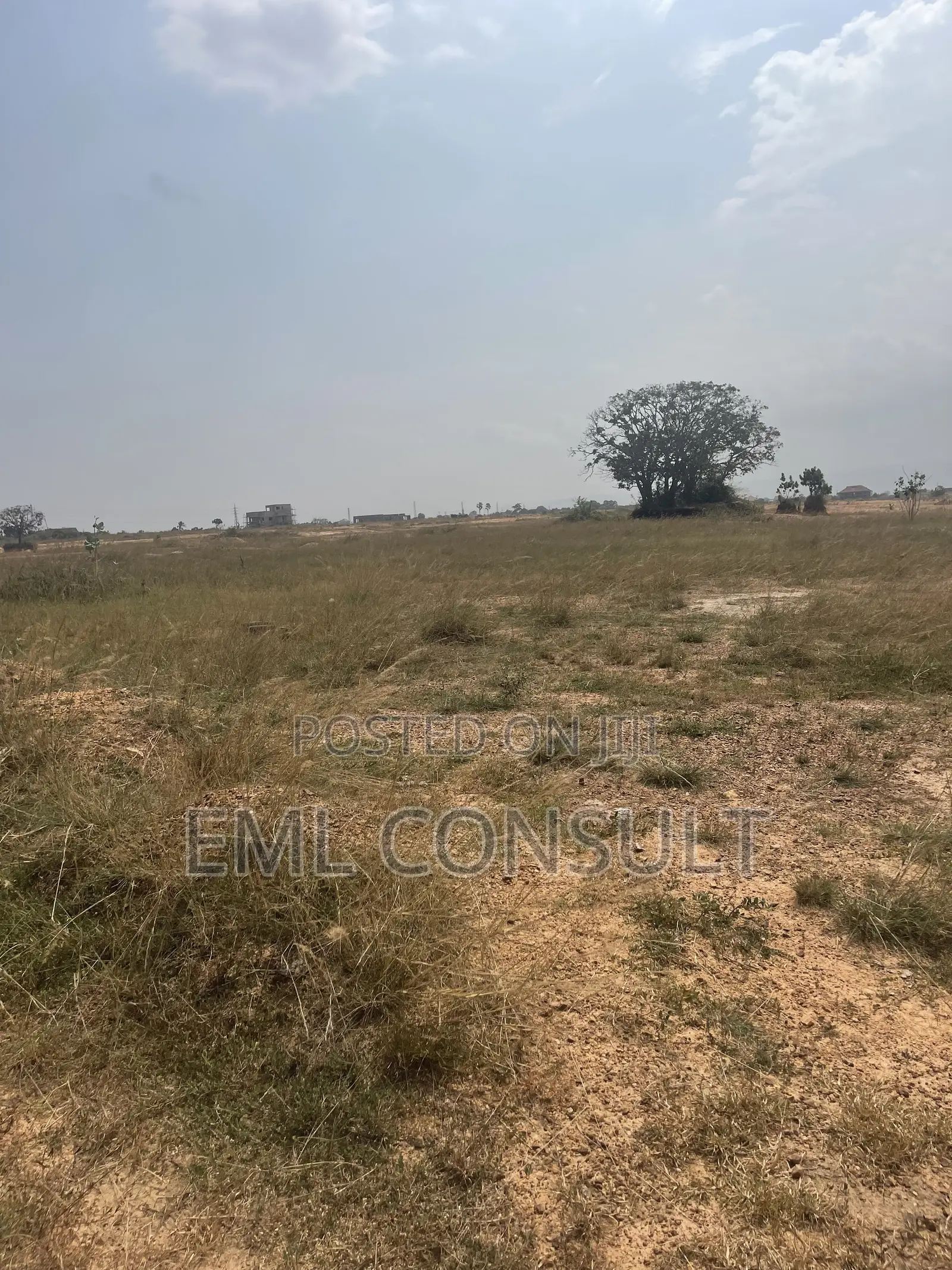 Land for Sale at Afienya Mobole. 2 Plots Available in Afienya