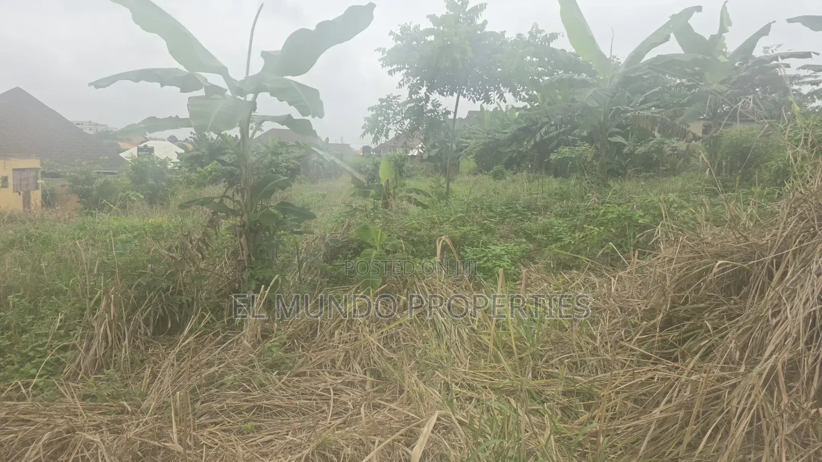 Land at Tanoso Dominase for Sale in Kumasi Metropolitan