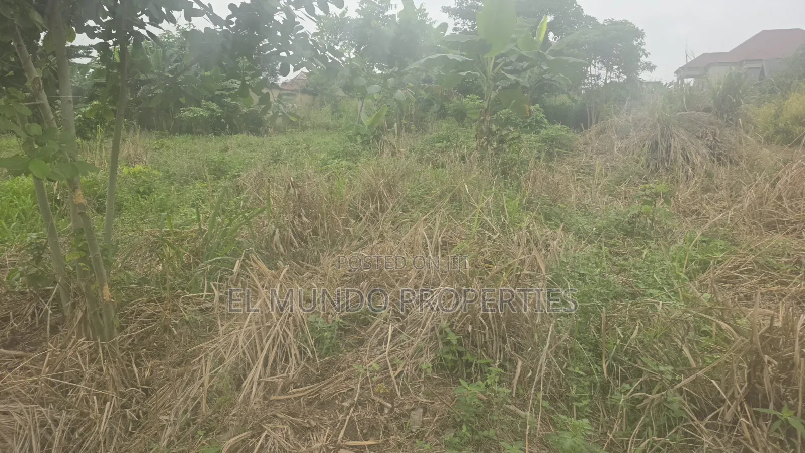 Land at Tanoso Dominase for Sale in Kumasi Metropolitan