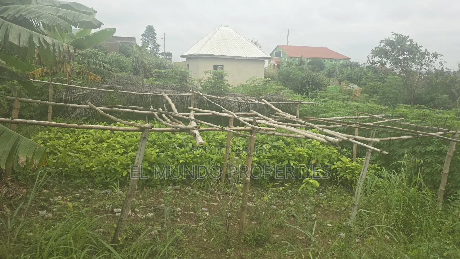 Land at Tanoso Dominase for Sale in Kumasi Metropolitan