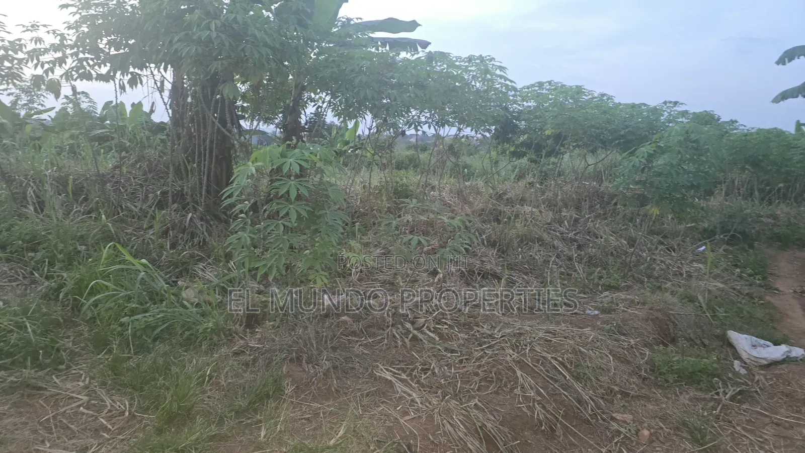 110*100 Land at Tanoso Dominase for Sale in Kumasi Metropolitan