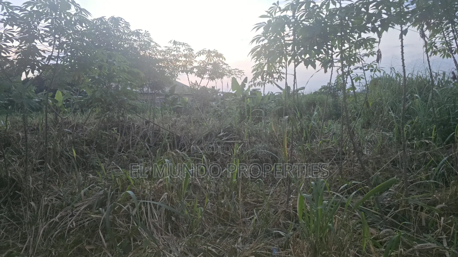 110*100 Land at Tanoso Dominase for Sale in Kumasi Metropolitan