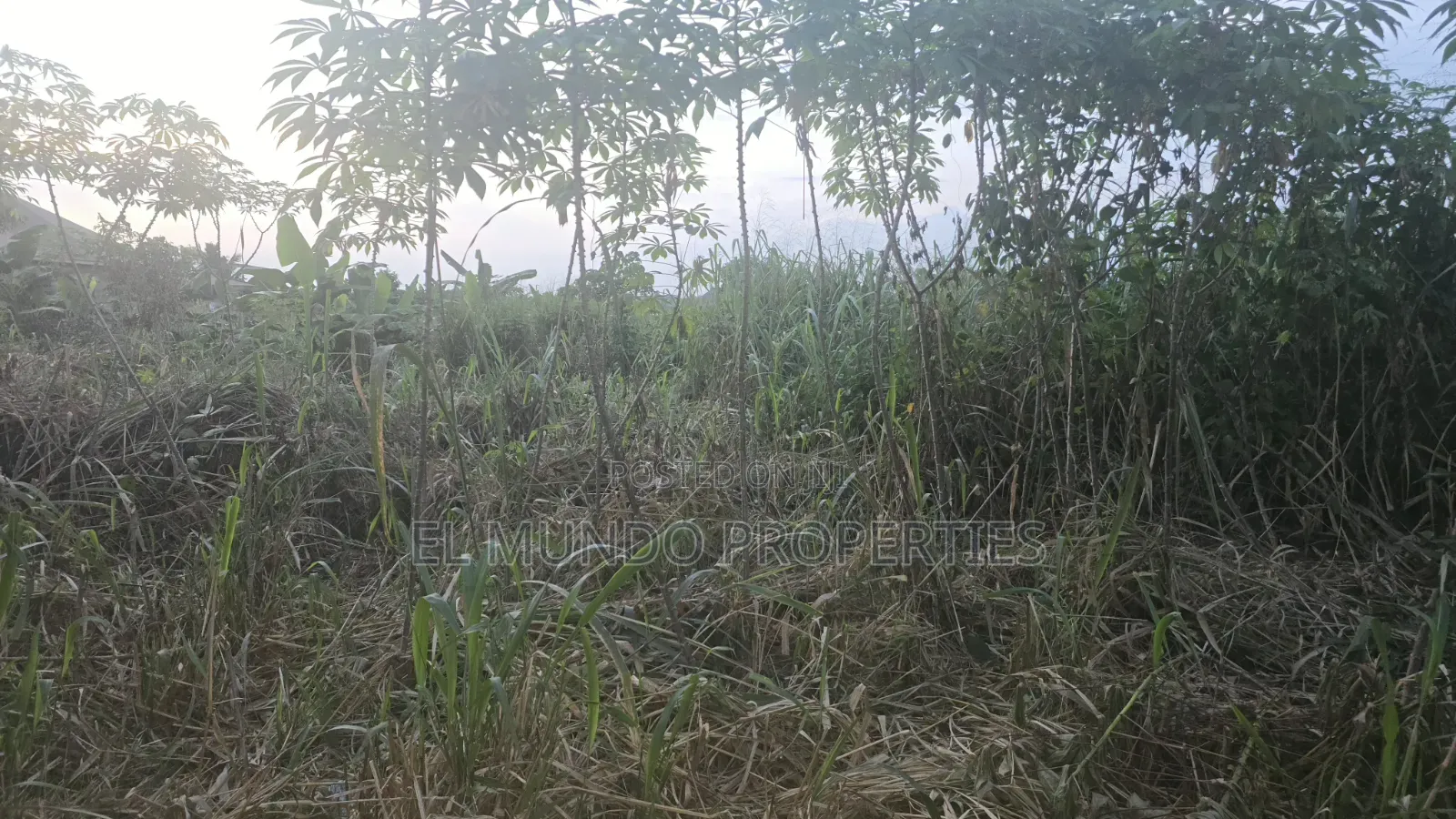 110*100 Land at Tanoso Dominase for Sale in Kumasi Metropolitan