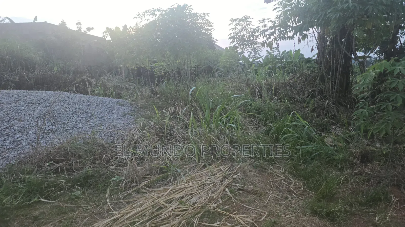 110*100 Land at Tanoso Dominase for Sale in Kumasi Metropolitan