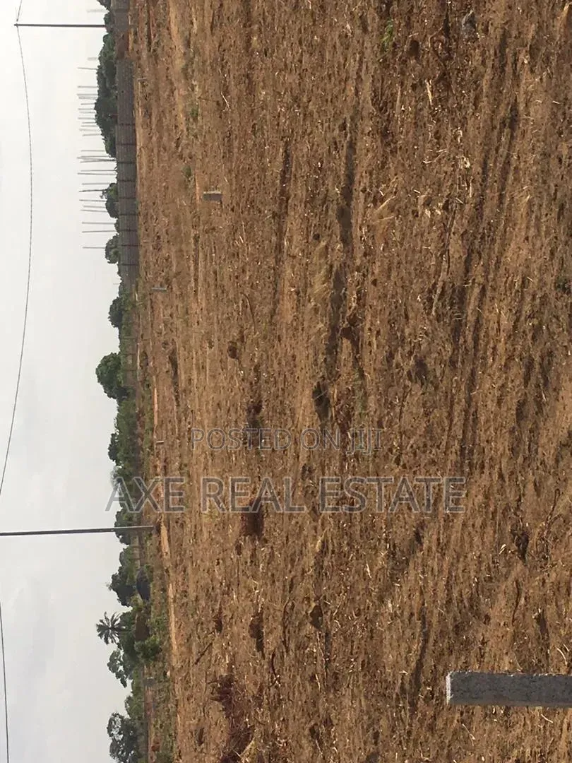 Perfect Dream Location Half Plots- Prampram in Prampram
