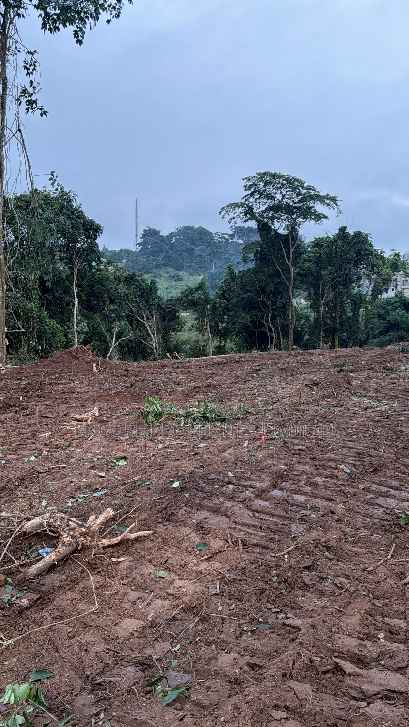 16 Acres of Registered Land in Aburi in Aburi