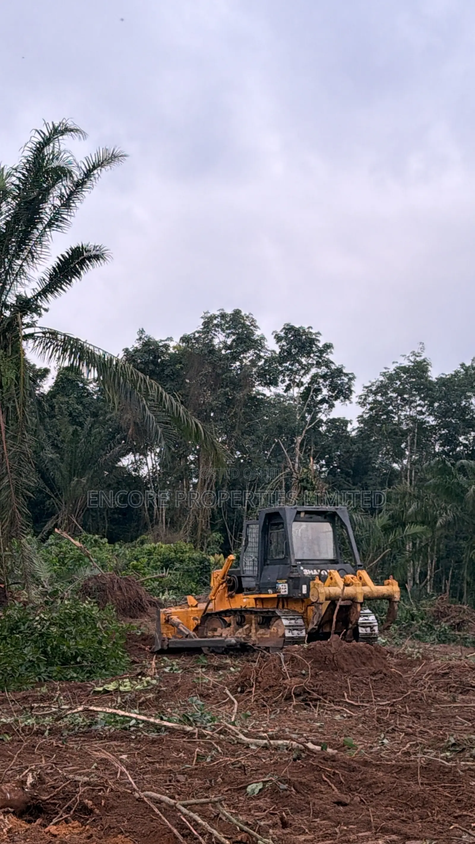 16 Acres of Registered Land in Aburi in Aburi