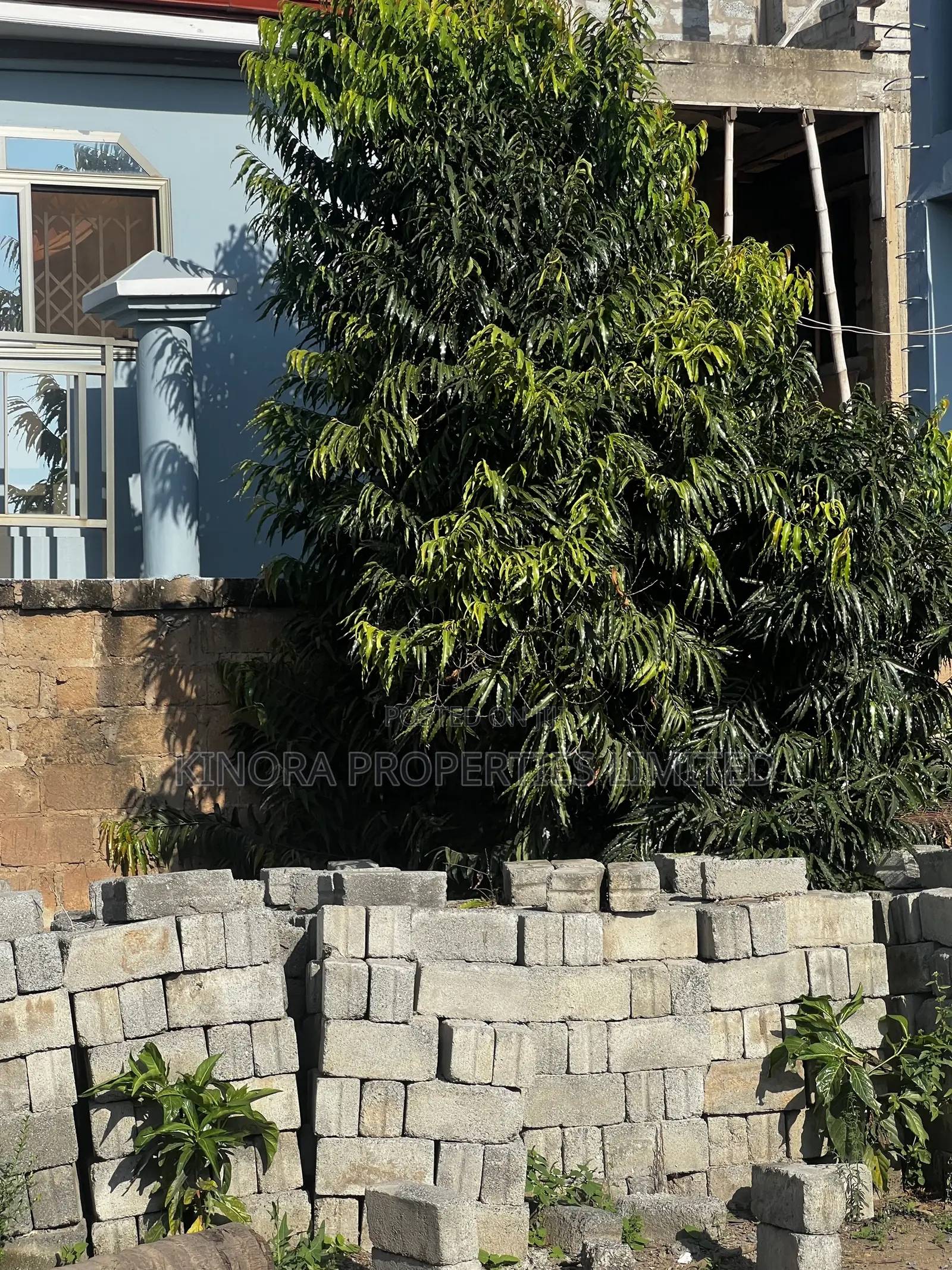 Half Plot for Sale at Ashaley Botwe in Ashaley Botwe