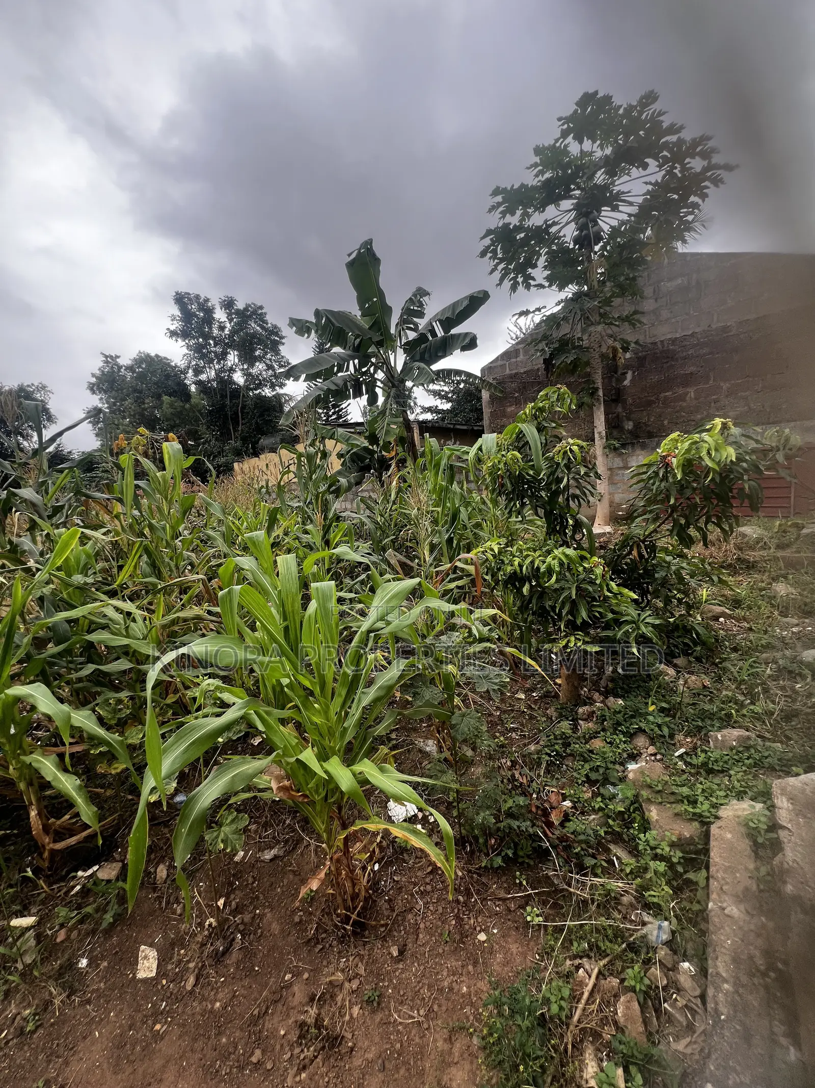 Fully Registered Plot for Sale at Adenta Ritz Junction in Adenta
