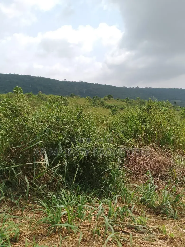 Acres of Lands for Sale at Dawa in Accra Metropolitan
