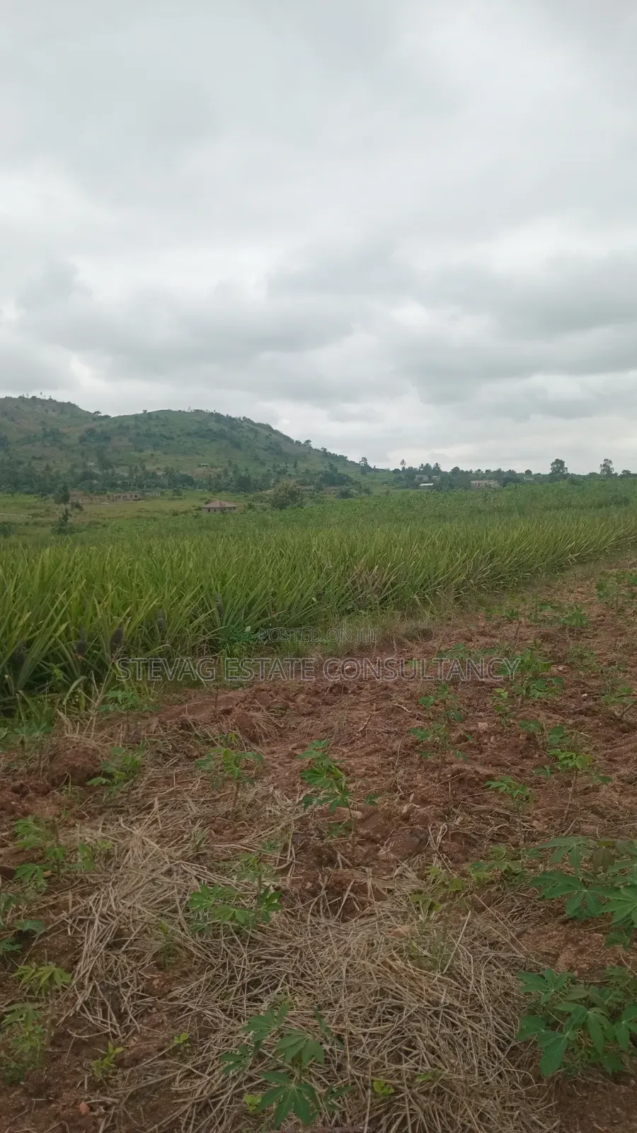Land for Sale at Kasoa Kweikrom for Sale in Awutu Senya East Municipal