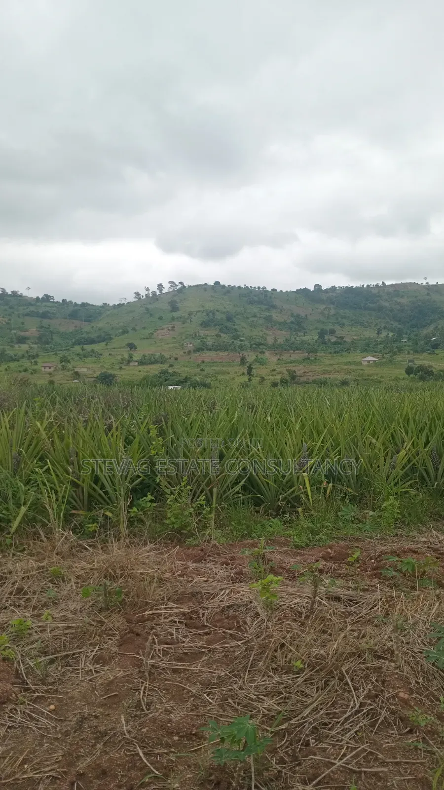 Land for Sale at Kasoa Kweikrom for Sale in Awutu Senya East Municipal