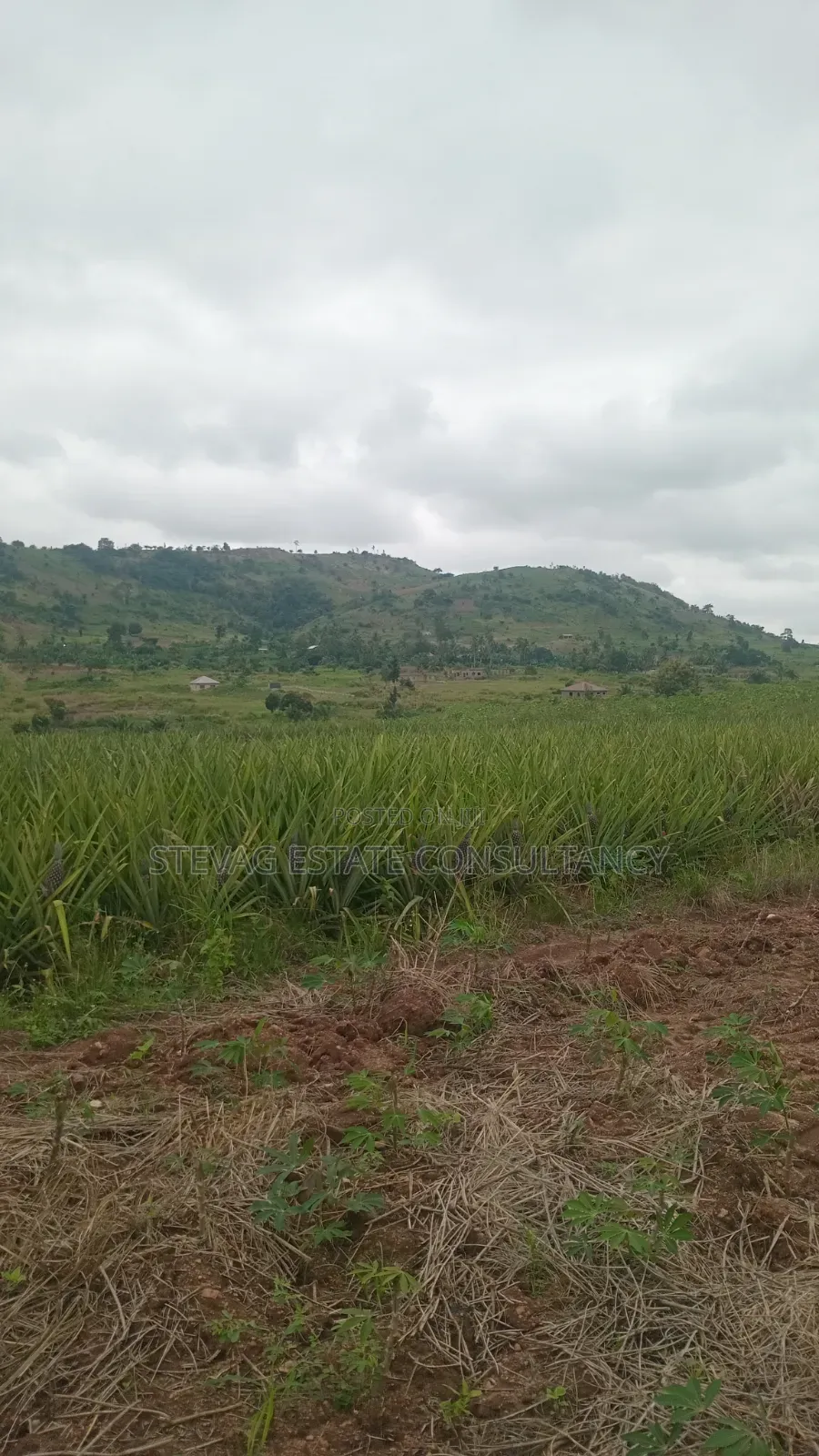Land for Sale at Kasoa Kweikrom for Sale in Awutu Senya East Municipal