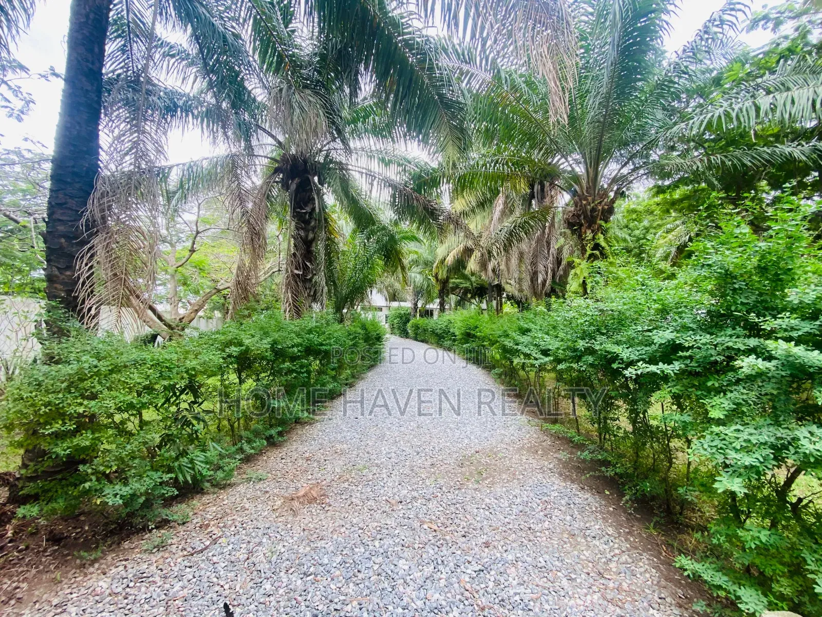 10 Bedroom Office Space for Rent at Cantonment in US Embassy Area