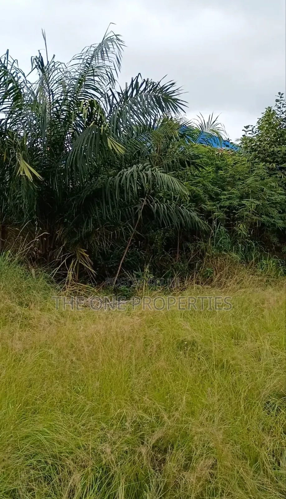 1 Plot of Land for Sale at Kotoku in Amasaman