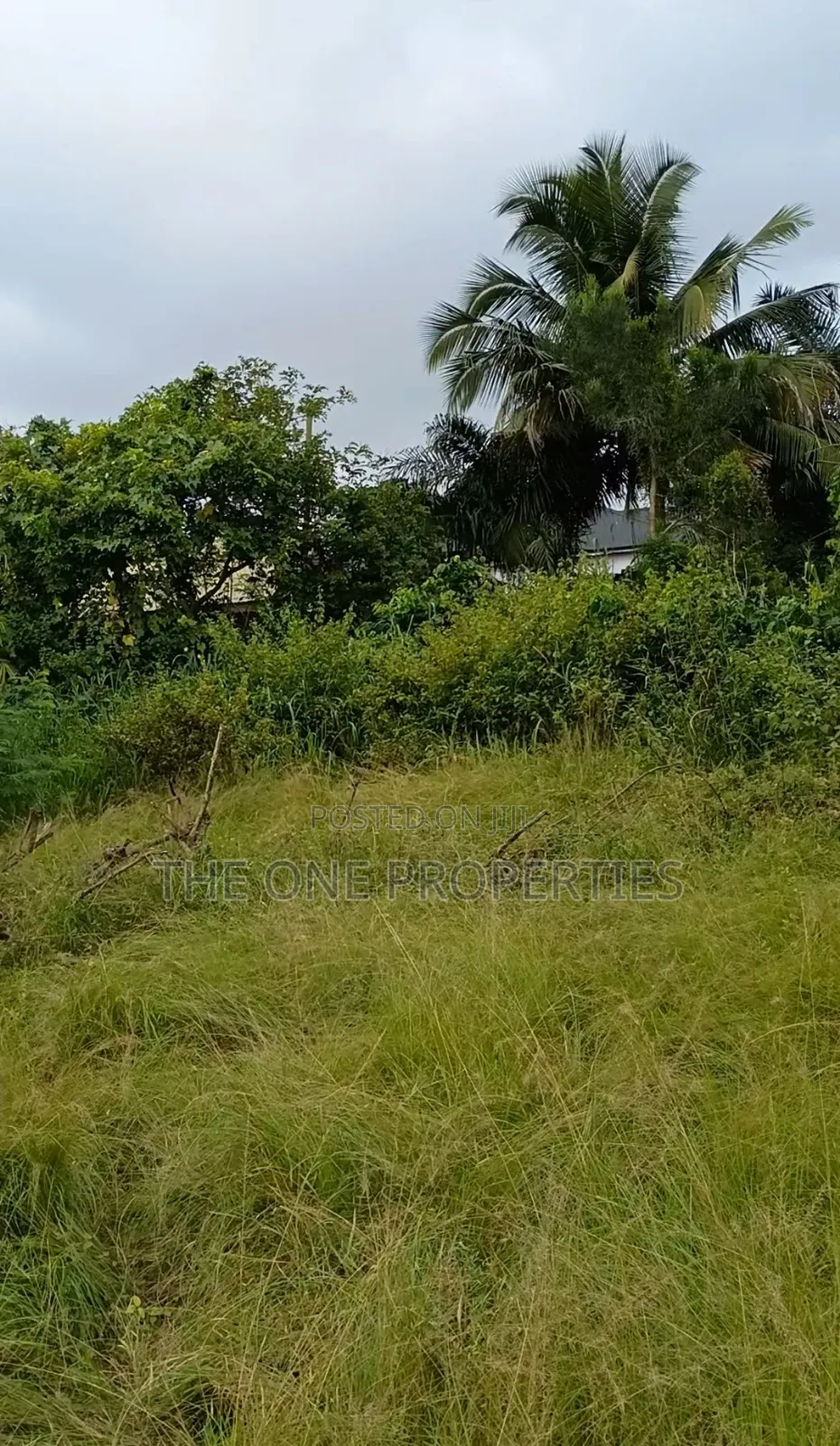1 Plot of Land for Sale at Kotoku in Amasaman