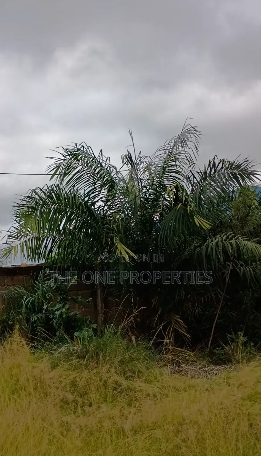 1 Plot of Land for Sale at Kotoku in Amasaman