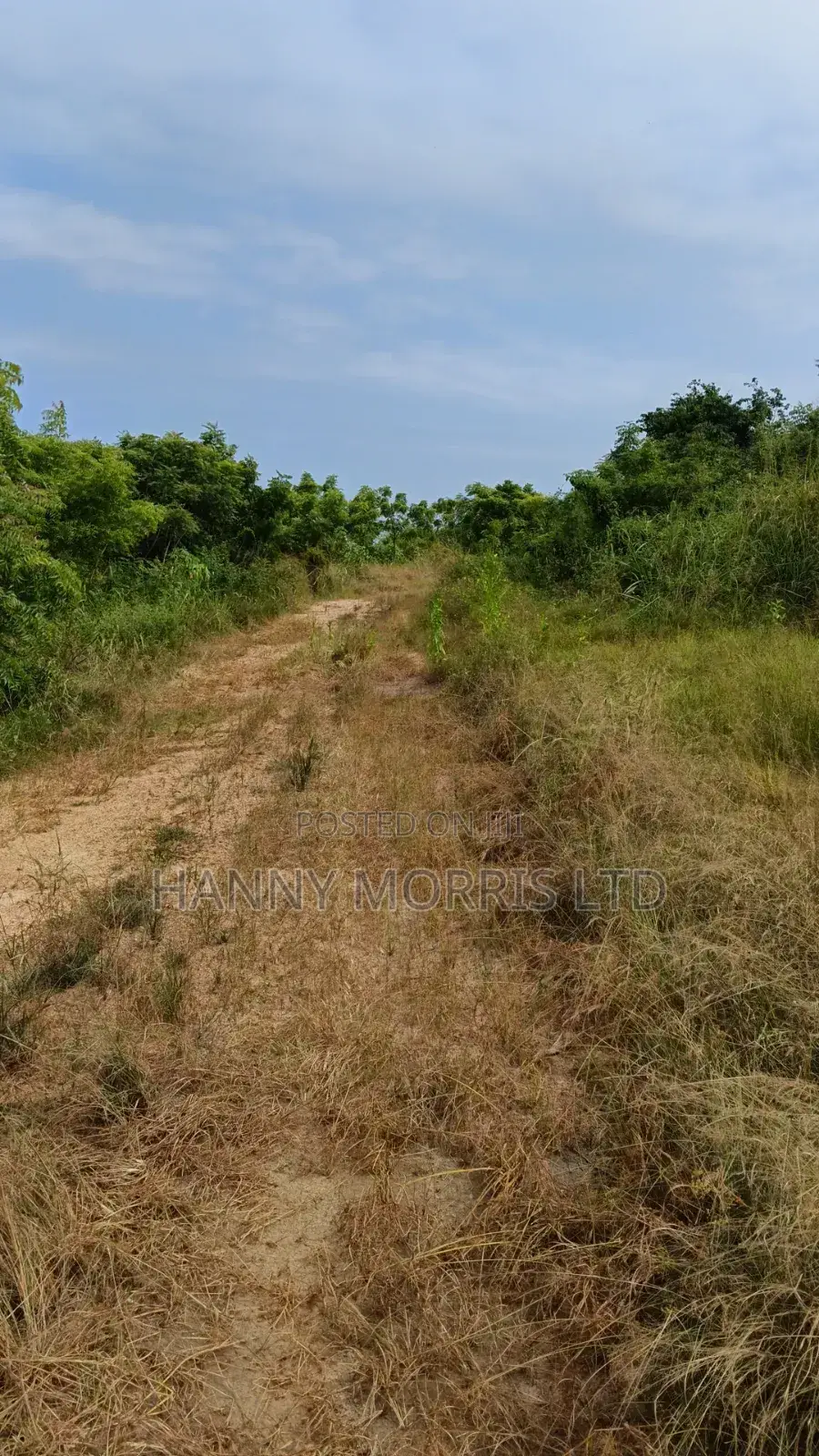100 X 70 Serviced Land in Effutu Municipal