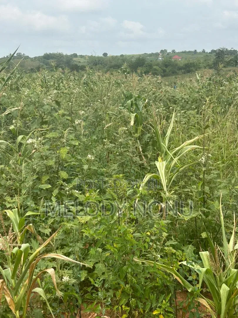 Estate Lands for Sale in Accra Metropolitan