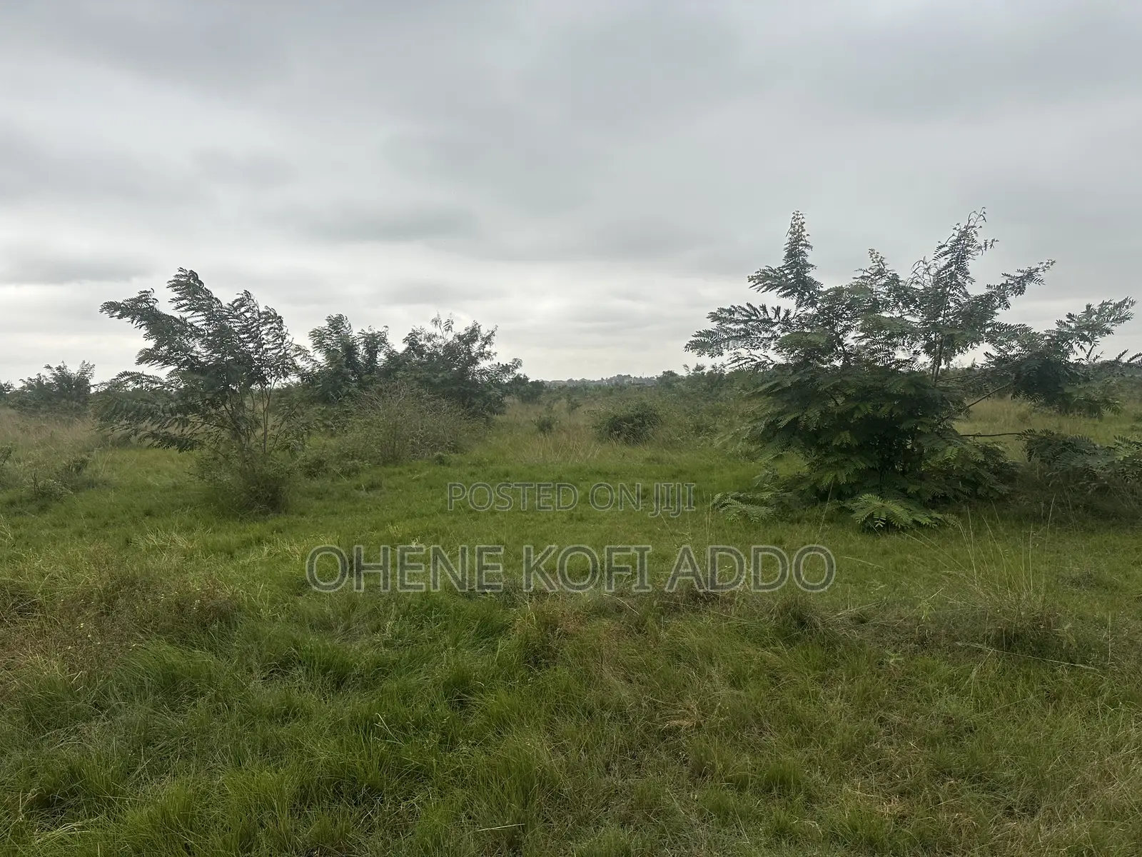 Registered Land With Land Title Certificate for Sale at Afienya in Afienya