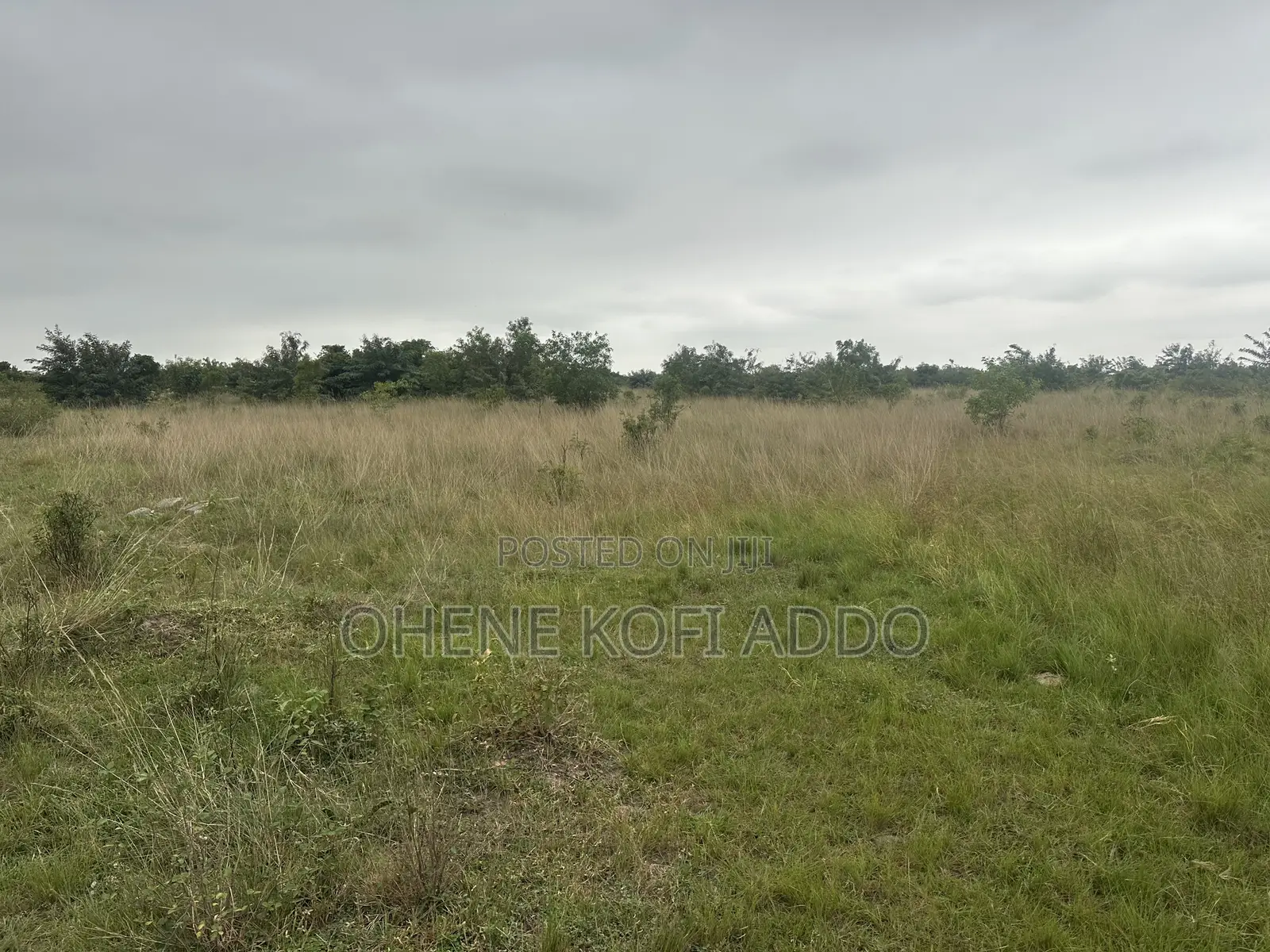 Registered Land With Land Title Certificate for Sale at Afienya in Afienya