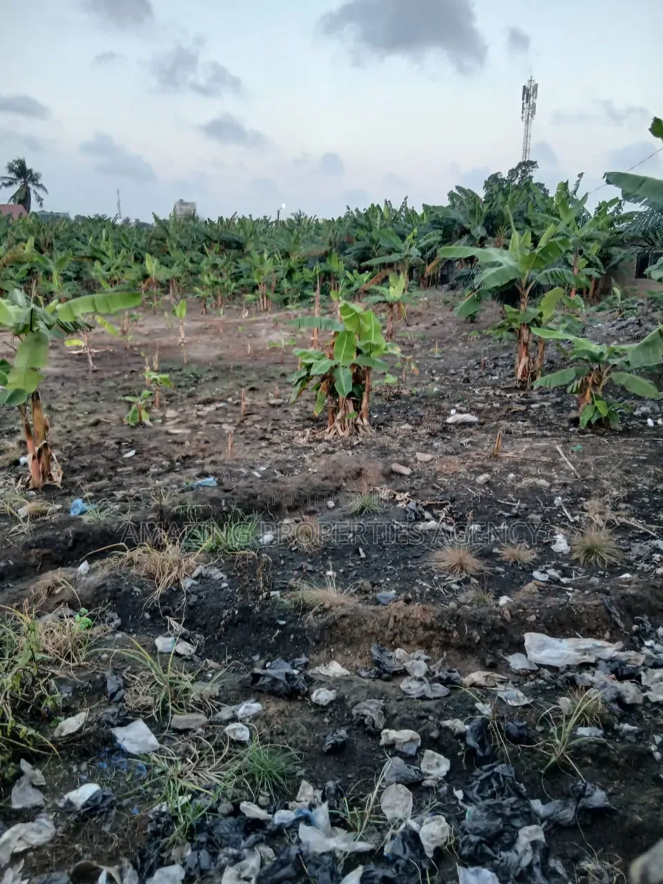 A. 1 Acres Land at Achimota Papaye in Market