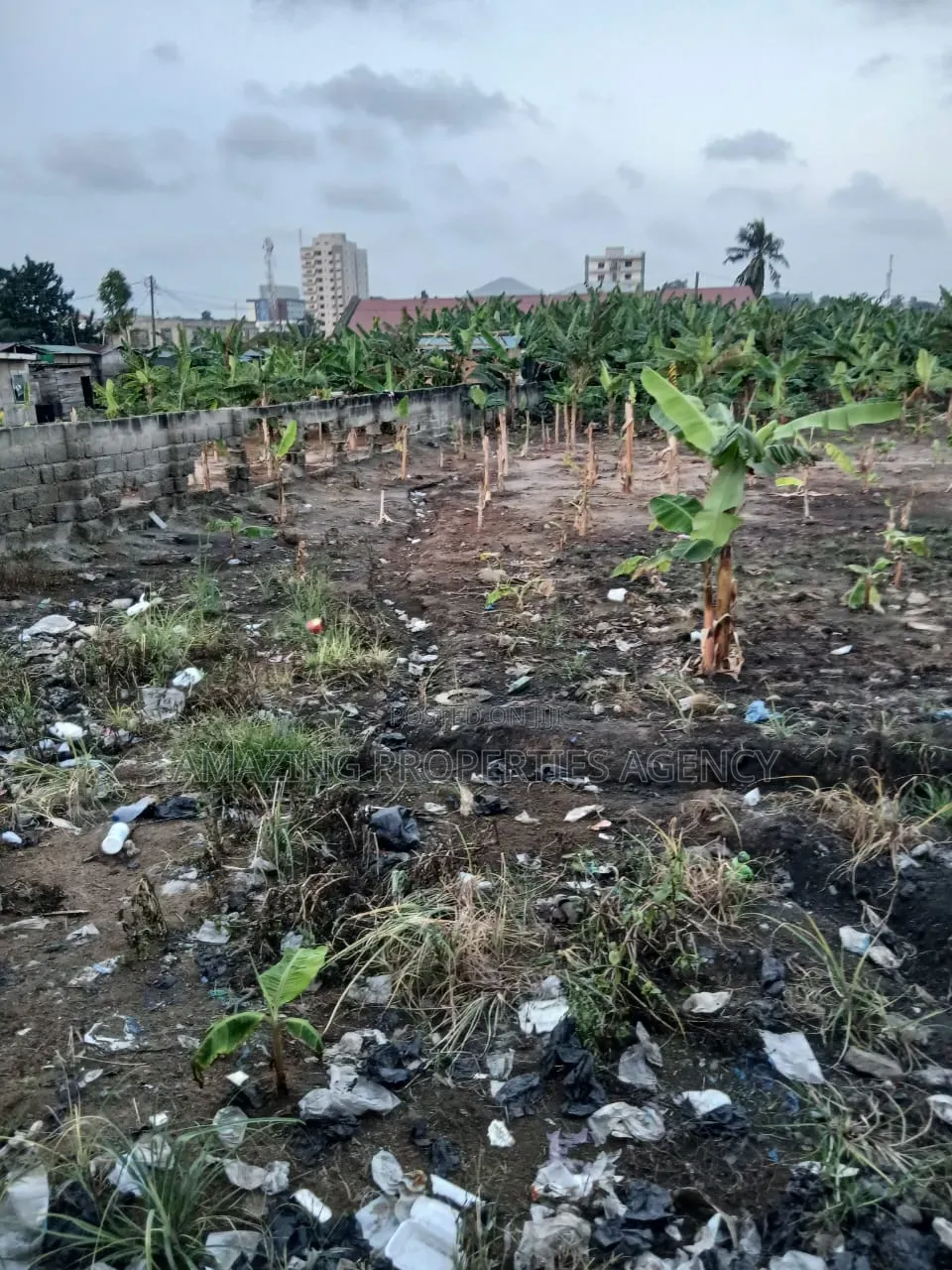 A. 1 Acres Land at Achimota Papaye in Market