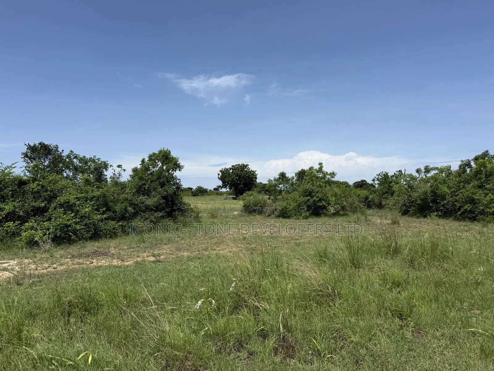 Acres of Roadside Land at Ada - Sege in Sege