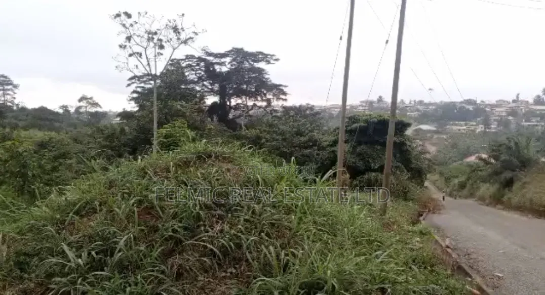 8 Plots of Land at Aburi Obosomase for Sale in Akuapim South