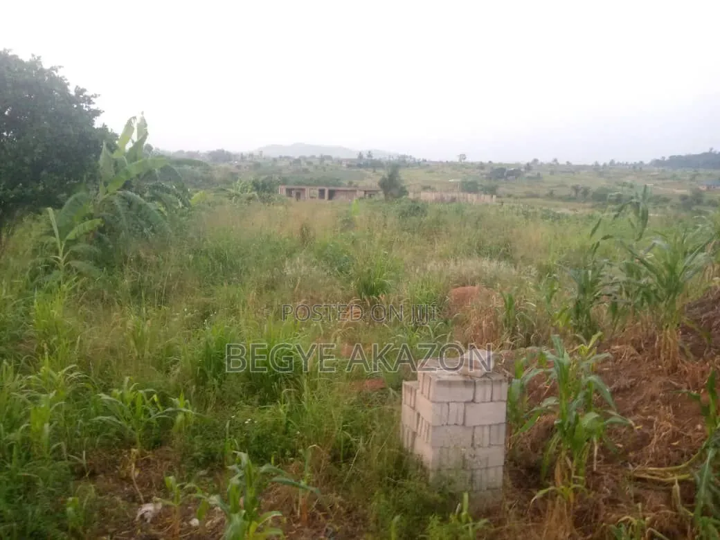 A Plot of Land for Sale at Amasaman Denhire in Amasaman