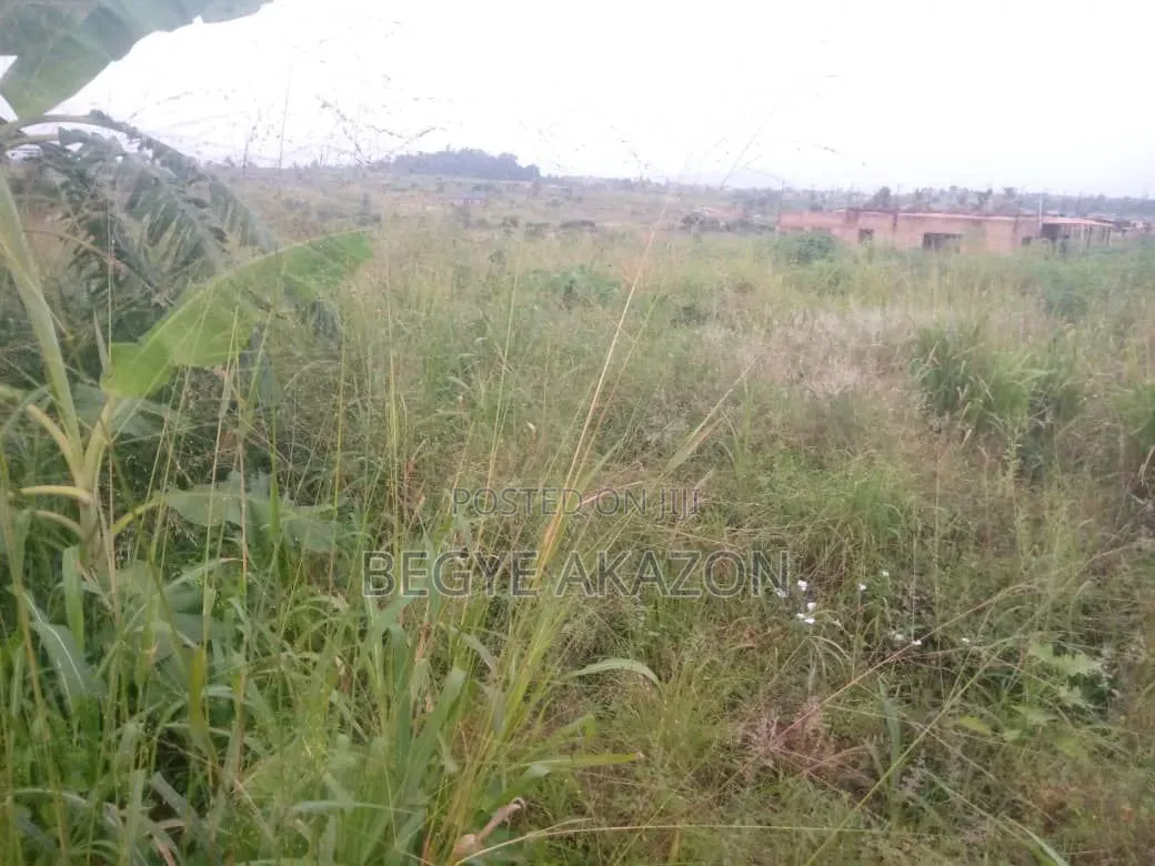 A Plot of Land for Sale at Amasaman Denhire in Amasaman