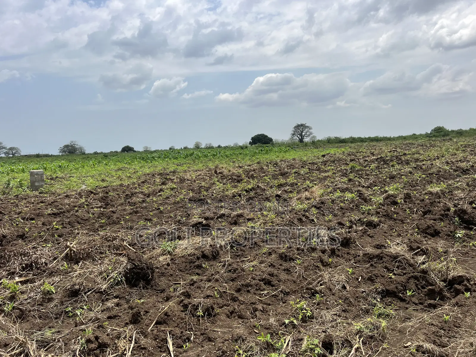 Agricultural Land at Kasunya in Accra Metropolitan